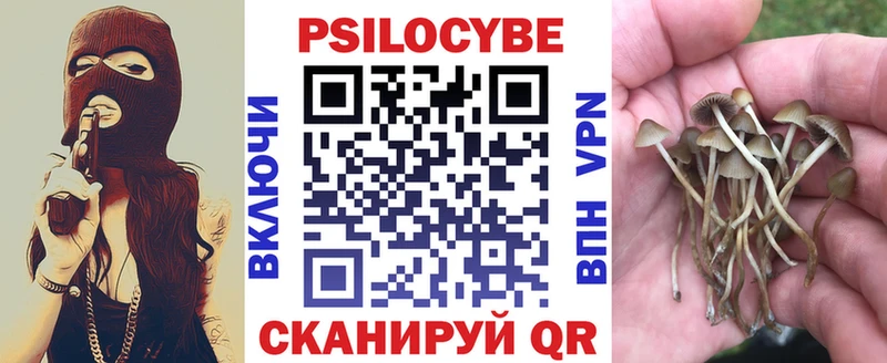 Псилоцибиновые грибы Psilocybe  ссылка на мегу ССЫЛКА  Железногорск 